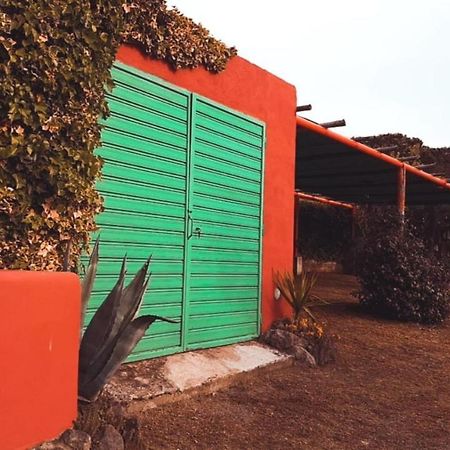 Tenuta Di Pontesodo モンタルト・ディ・カストロ エクステリア 写真
