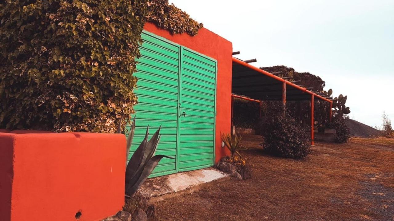Tenuta Di Pontesodo モンタルト・ディ・カストロ エクステリア 写真