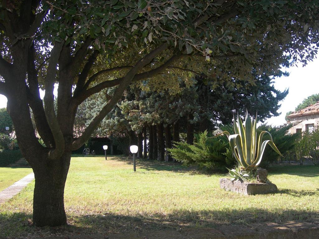Tenuta Di Pontesodo モンタルト・ディ・カストロ エクステリア 写真