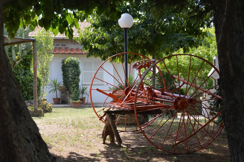 Tenuta Di Pontesodo モンタルト・ディ・カストロ エクステリア 写真