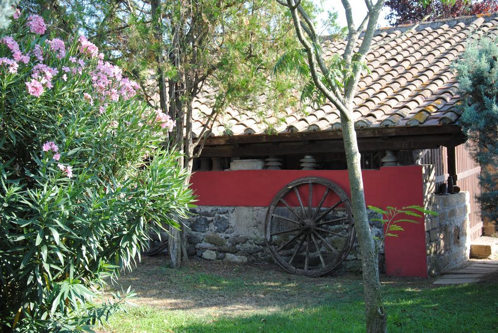 Tenuta Di Pontesodo モンタルト・ディ・カストロ エクステリア 写真